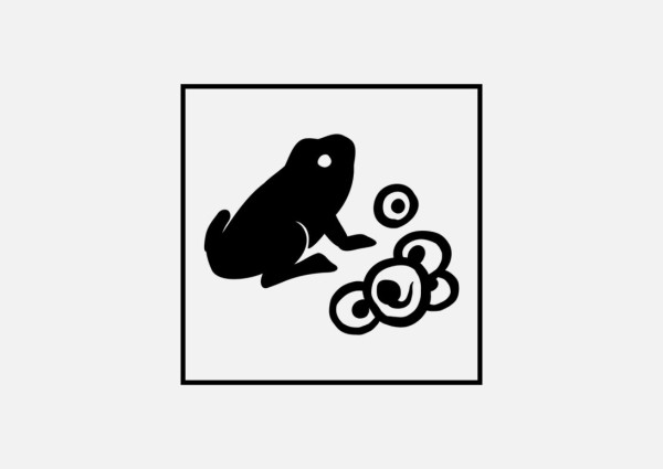 Comptage des pontes d'amphibiens